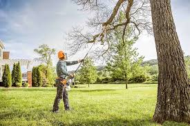 Best Tree Removal Services  in Upper Ack, NY